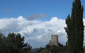 Le Pietre Antiche